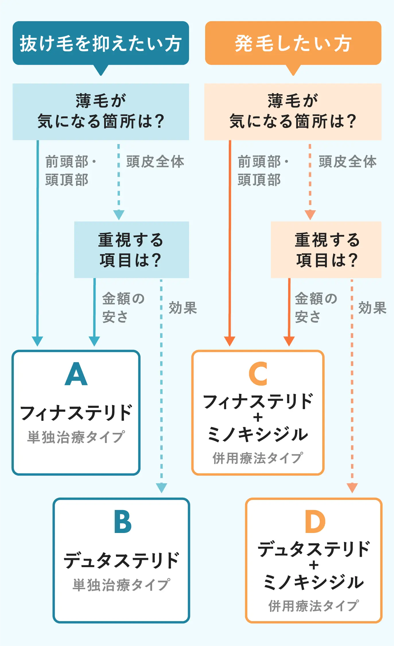 セクション画像